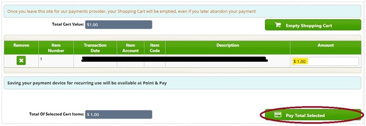 Pay Total Selected