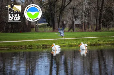 Two birds in a pond at the golf course with an Audubon Certified logo. 