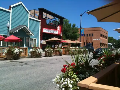 Buildings and shops on a street with flowers in the foreground.