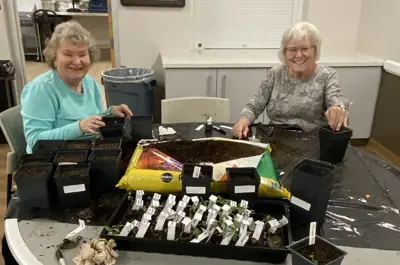 two seniors planting multiple seed pods for the Bloomin Seniors Gardening Group