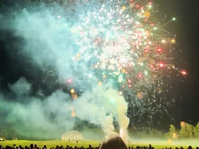 Fireworks against a night sky.