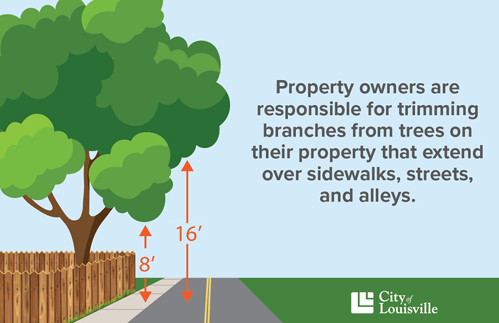 infographic showing tree on personal property with branches hanging over the street