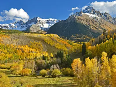 Trees and grassy hills in front of a blue sky.
